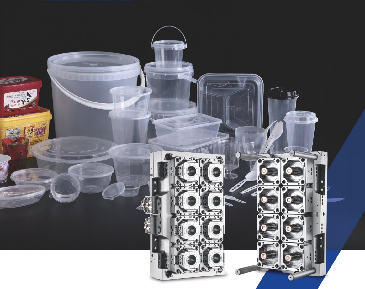 Thin Wall Mould